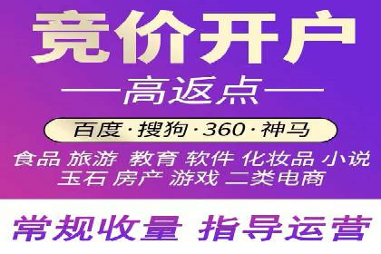 百度SEO优化公司案例详解：如何制定有效的推广计划